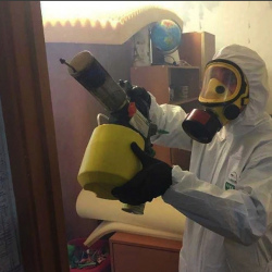 Уничтожение клопов в квартире. Дубровка